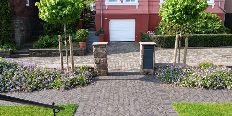 8-theile-gartenbau-pflanzarbeiten8F0D9E1B-E425-7CE4-ECFD-CC37FFD94102.jpeg