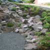 234