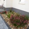 kiesbeet mit pflanzen